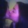 Cai na rede foto de Vanessa Hudgens beijando outra menina.